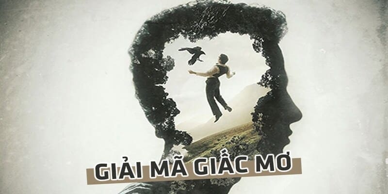 Các Kiểu Giấc Mơ Phổ Biến Và Ý Nghĩa Của Chúng